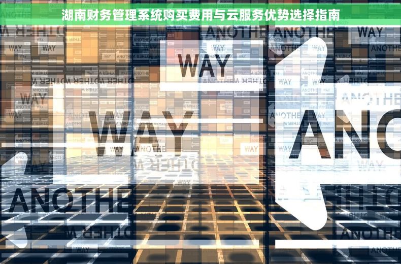 湖南财务管理系统购买费用与云服务优势选择指南