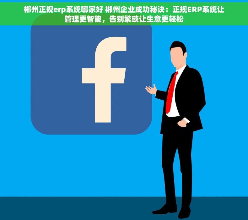 郴州正规erp系统哪家好 郴州企业成功秘诀：正规ERP系统让管理更智能，告别繁琐让生意更轻松
