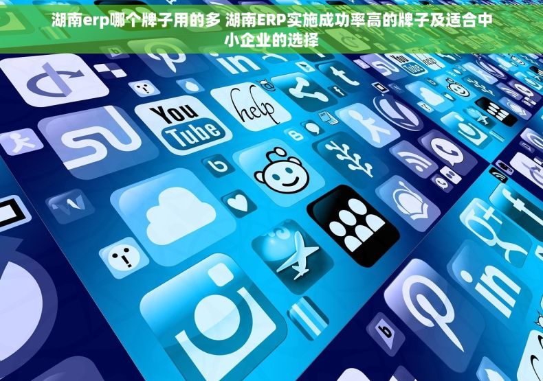 湖南erp哪个牌子用的多 湖南ERP实施成功率高的牌子及适合中小企业的选择