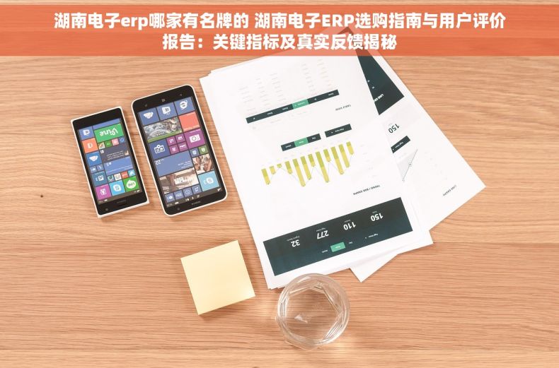 湖南电子erp哪家有名牌的 湖南电子ERP选购指南与用户评价报告：关键指标及真实反馈揭秘