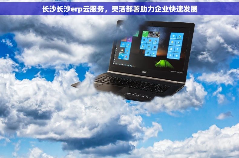 长沙长沙erp云服务，灵活部署助力企业快速发展