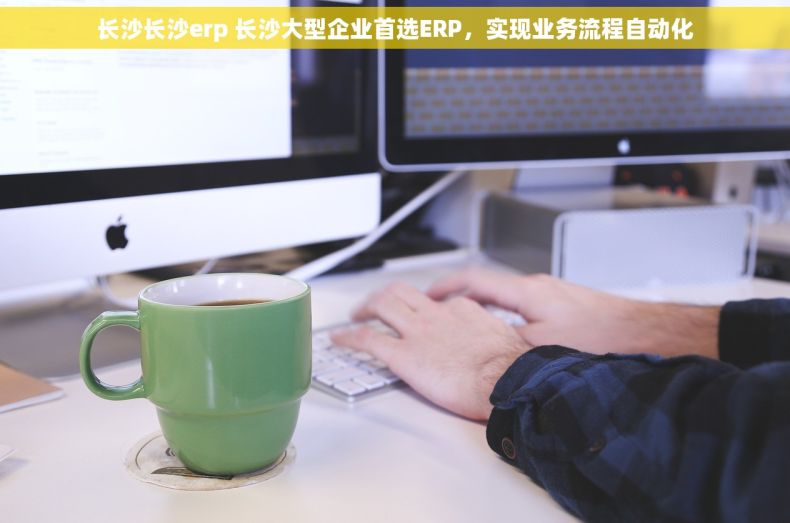 长沙长沙erp 长沙大型企业首选ERP，实现业务流程自动化