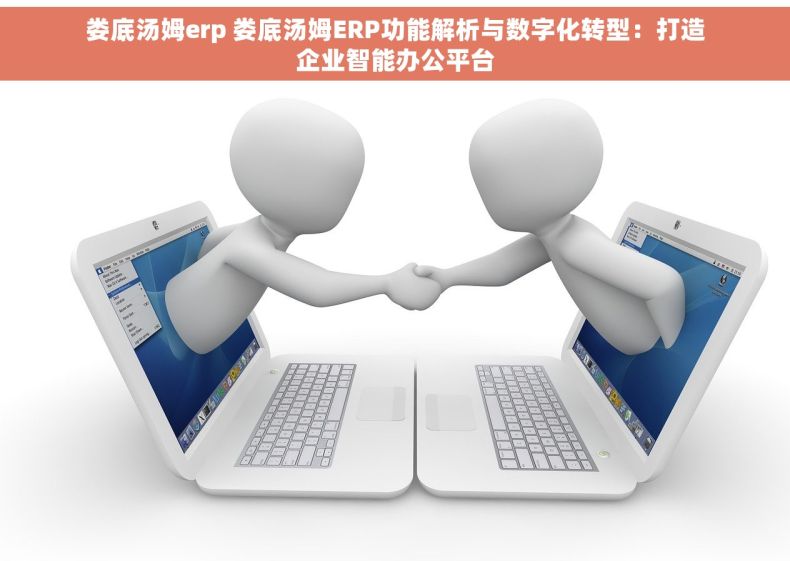娄底汤姆erp 娄底汤姆ERP功能解析与数字化转型：打造企业智能办公平台
