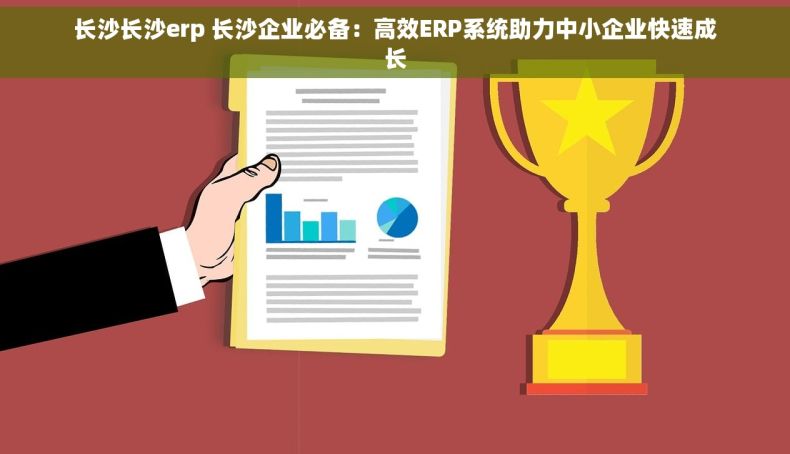长沙长沙erp 长沙企业必备：高效ERP系统助力中小企业快速成长
