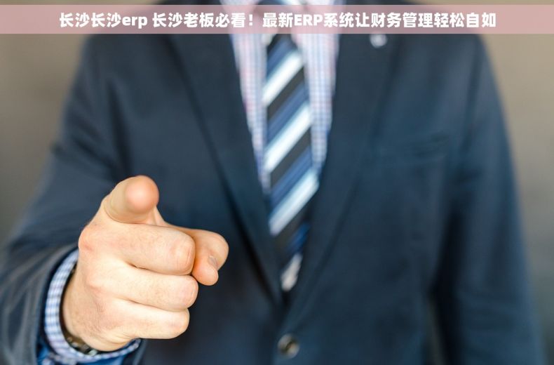 长沙长沙erp 长沙老板必看！最新ERP系统让财务管理轻松自如