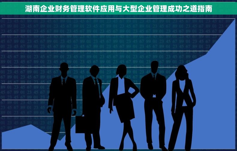 湖南企业财务管理软件应用与大型企业管理成功之道指南