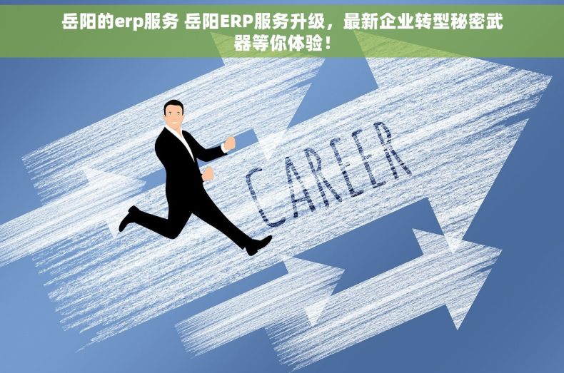 岳阳的erp服务 岳阳ERP服务升级，最新企业转型秘密武器等你体验！
