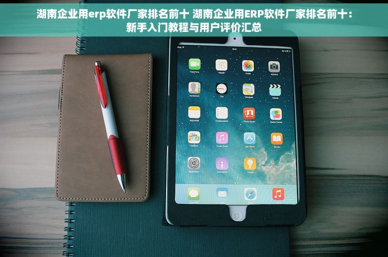 湖南企业用erp软件厂家排名前十 湖南企业用ERP软件厂家排名前十：新手入门教程与用户评价汇总