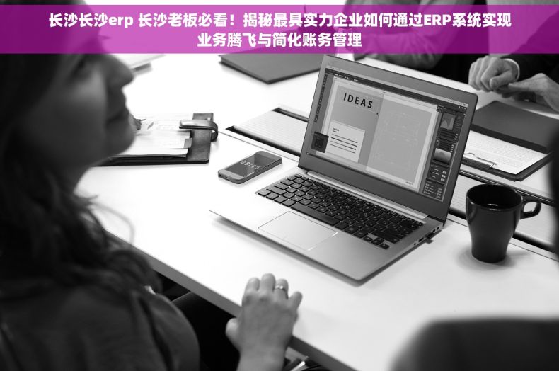 长沙长沙erp 长沙老板必看！揭秘最具实力企业如何通过ERP系统实现业务腾飞与简化账务管理
