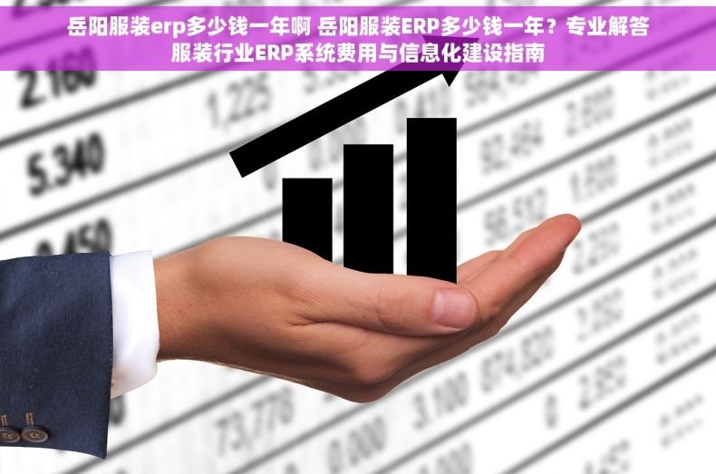 岳阳服装erp多少钱一年啊 岳阳服装ERP多少钱一年？专业解答服装行业ERP系统费用与信息化建设指南