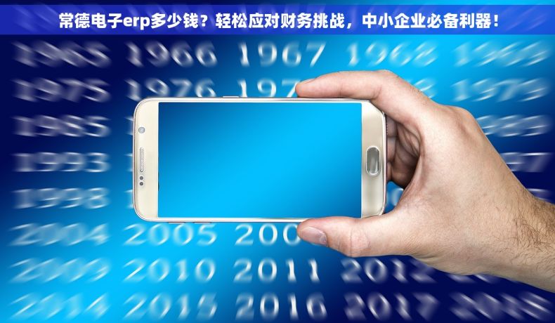 常德电子erp多少钱？轻松应对财务挑战，中小企业必备利器！