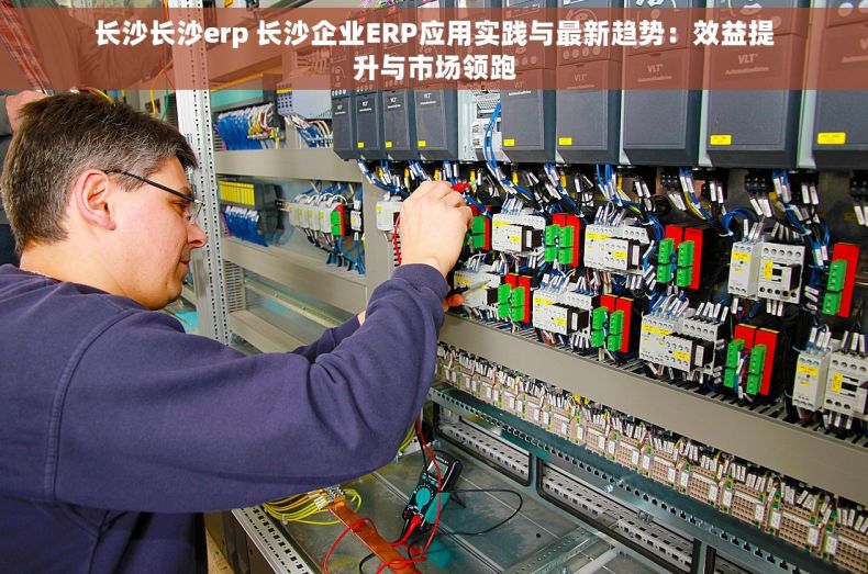 长沙长沙erp 长沙企业ERP应用实践与最新趋势：效益提升与市场领跑