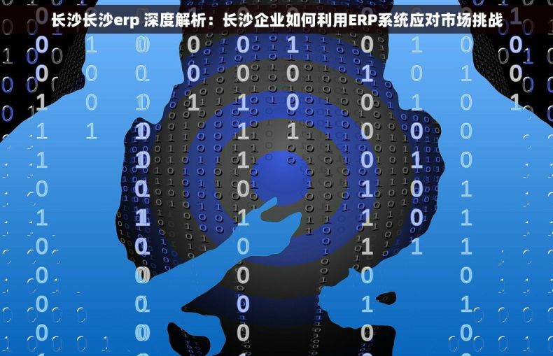 长沙长沙erp 深度解析：长沙企业如何利用ERP系统应对市场挑战