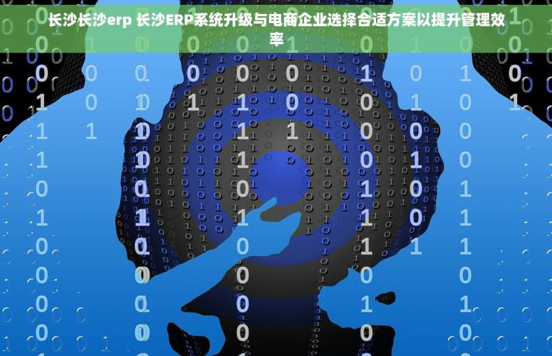 长沙长沙erp 长沙ERP系统升级与电商企业选择合适方案以提升管理效率