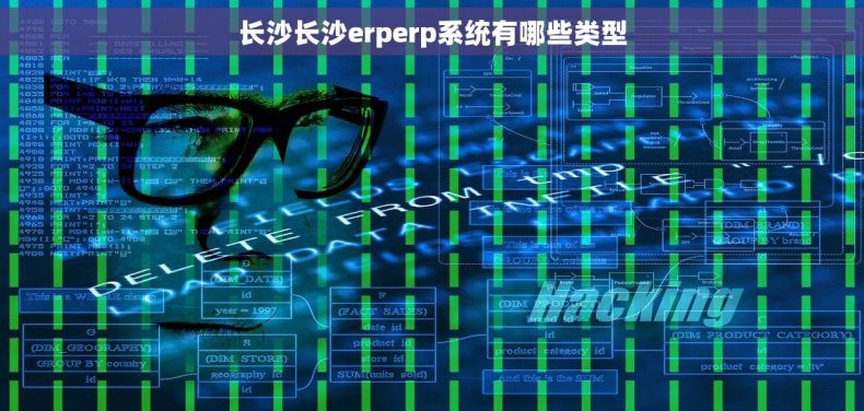 长沙长沙erperp系统有哪些类型