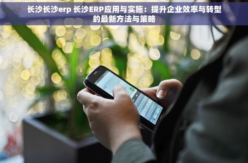 长沙长沙erp 长沙ERP应用与实施：提升企业效率与转型的最新方法与策略
