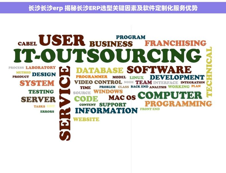 长沙长沙erp 揭秘长沙ERP选型关键因素及软件定制化服务优势