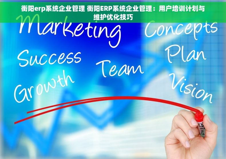 衡阳erp系统企业管理 衡阳ERP系统企业管理：用户培训计划与维护优化技巧