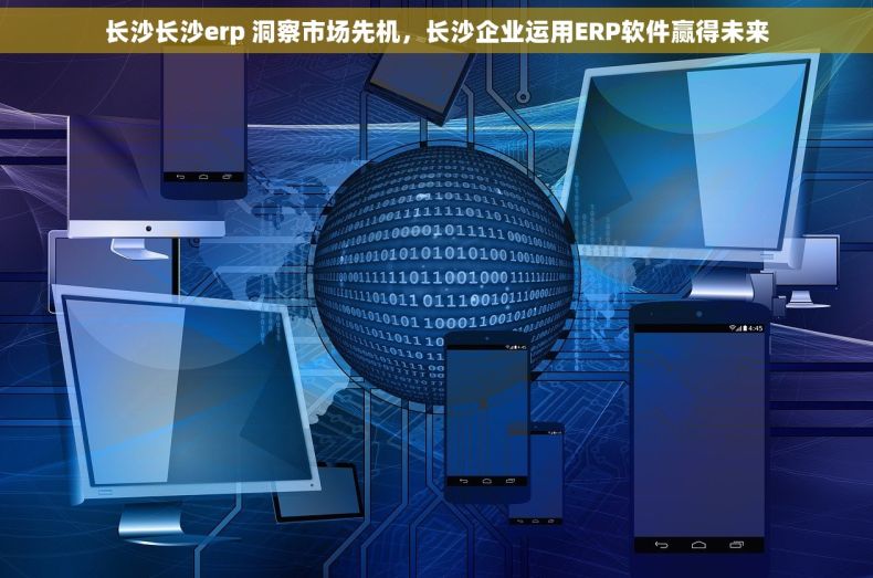 长沙长沙erp 洞察市场先机，长沙企业运用ERP软件赢得未来