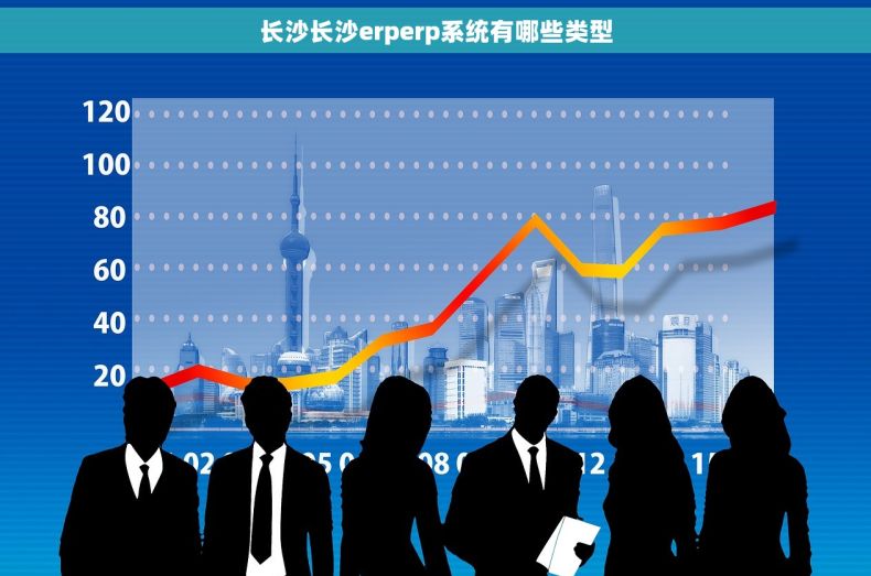 长沙长沙erperp系统有哪些类型