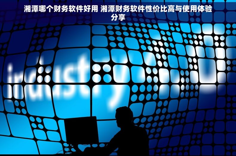 湘潭哪个财务软件好用 湘潭财务软件性价比高与使用体验分享
