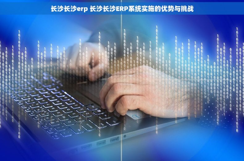 长沙长沙erp 长沙长沙ERP系统实施的优势与挑战