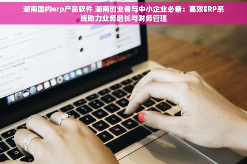 湖南国内erp产品软件 湖南创业者与中小企业必备：高效ERP系统助力业务增长与财务管理