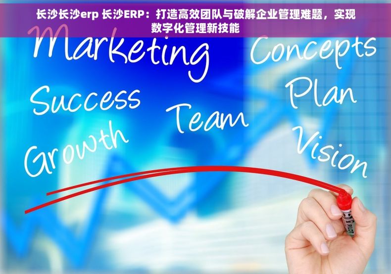 长沙长沙erp 长沙ERP：打造高效团队与破解企业管理难题，实现数字化管理新技能
