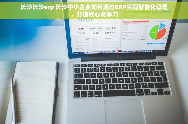 长沙长沙erp 长沙中小企业如何通过ERP实现智能化管理，打造核心竞争力