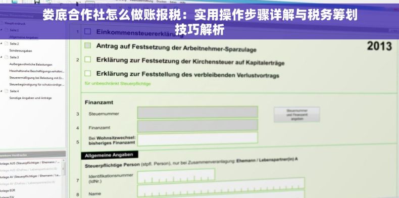 娄底合作社怎么做账报税：实用操作步骤详解与税务筹划技巧解析