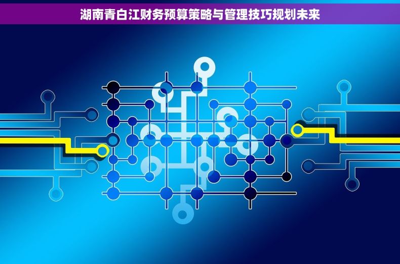 湖南青白江财务预算策略与管理技巧规划未来