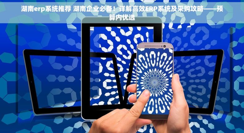 湖南erp系统推荐 湖南企业必备！详解高效ERP系统及采购攻略——预算内优选