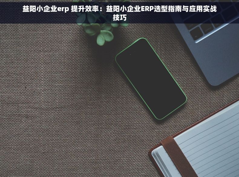 益阳小企业erp 提升效率：益阳小企业ERP选型指南与应用实战技巧