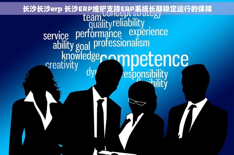 长沙长沙erp 长沙ERP维护支持ERP系统长期稳定运行的保障