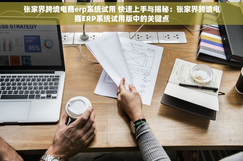 张家界跨境电商erp系统试用 快速上手与揭秘：张家界跨境电商ERP系统试用版中的关键点
