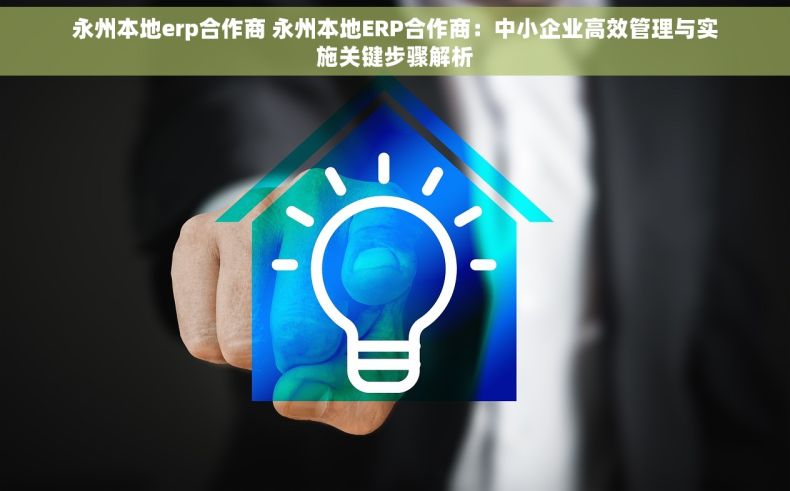 永州本地erp合作商 永州本地ERP合作商：中小企业高效管理与实施关键步骤解析