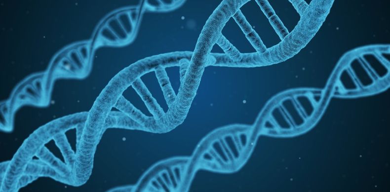 怀化会计通讯器材不二之选：购买步骤与使用教程