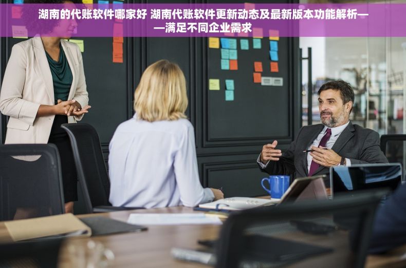 湖南的代账软件哪家好 湖南代账软件更新动态及最新版本功能解析——满足不同企业需求