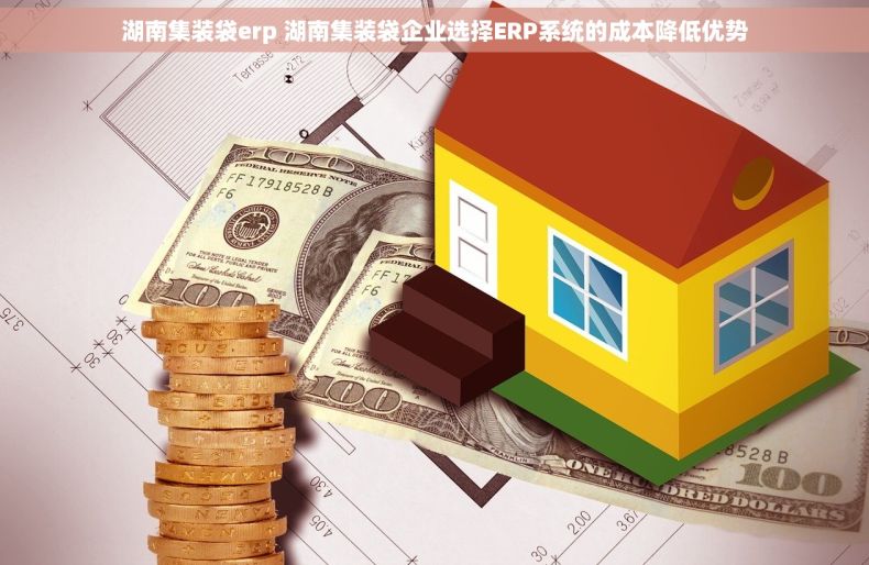湖南集装袋erp 湖南集装袋企业选择ERP系统的成本降低优势