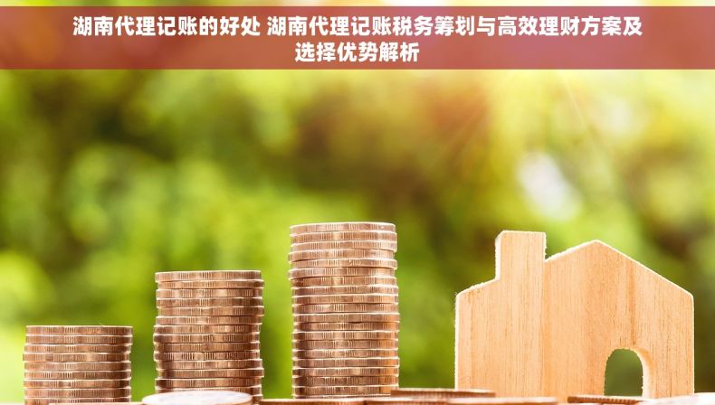 湖南代理记账的好处 湖南代理记账税务筹划与高效理财方案及选择优势解析