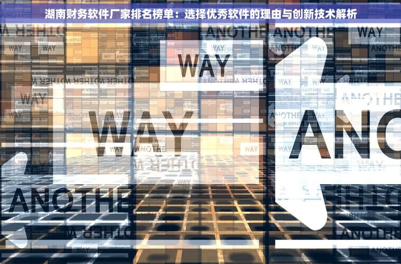 湖南财务软件厂家排名榜单：选择优秀软件的理由与创新技术解析
