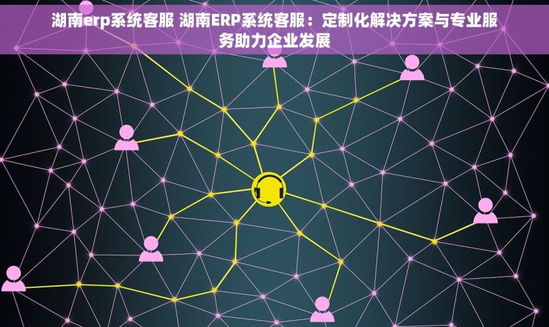 湖南erp系统客服 湖南ERP系统客服：定制化解决方案与专业服务助力企业发展