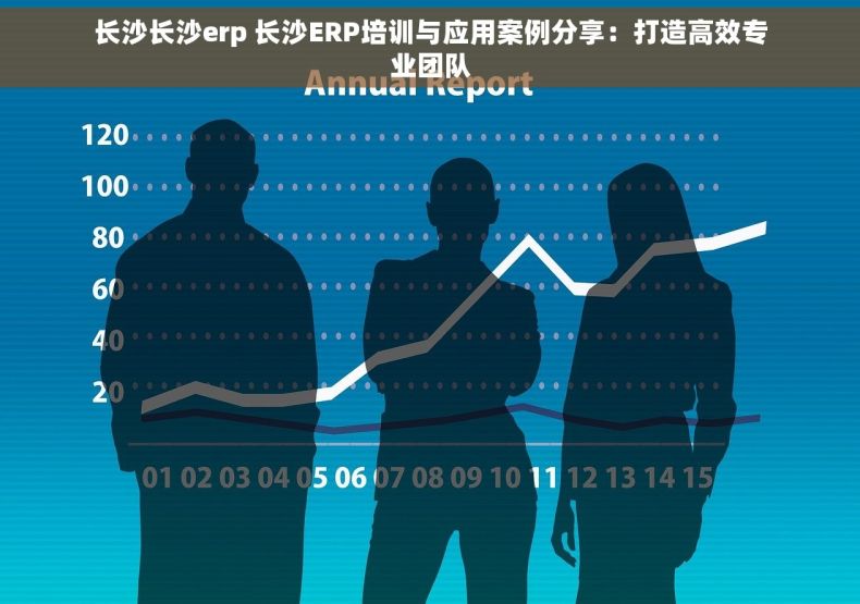 长沙长沙erp 长沙ERP培训与应用案例分享：打造高效专业团队
