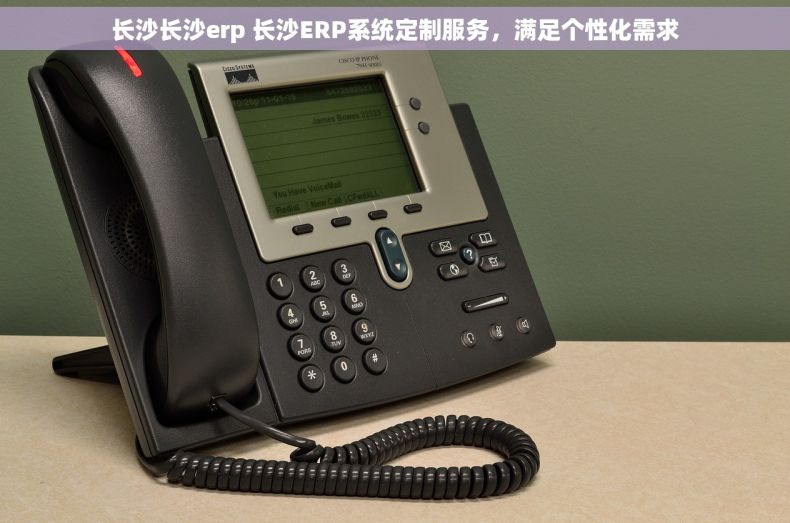 长沙长沙erp 长沙ERP系统定制服务，满足个性化需求