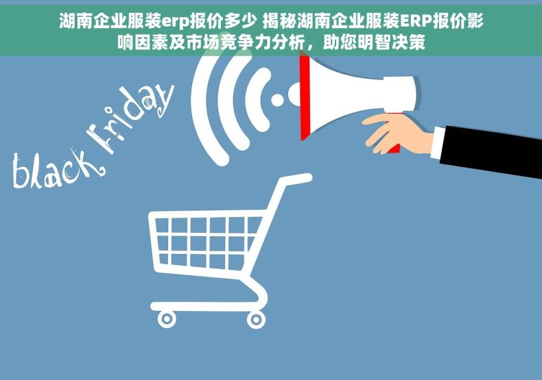 湖南企业服装erp报价多少 揭秘湖南企业服装ERP报价影响因素及市场竞争力分析，助您明智决策