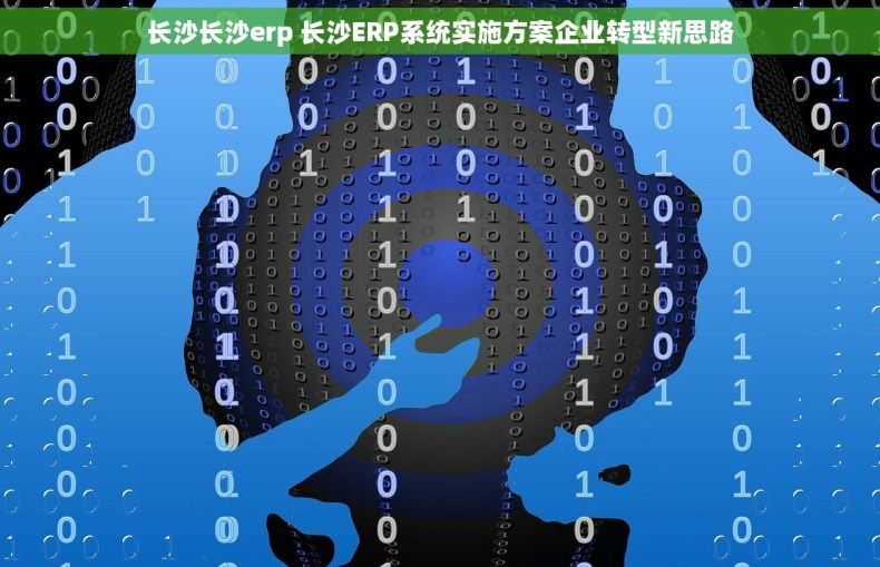 长沙长沙erp 长沙ERP系统实施方案企业转型新思路