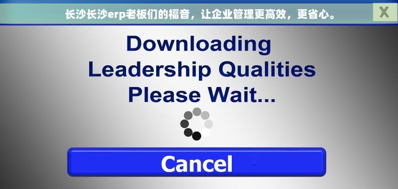 长沙长沙erp老板们的福音，让企业管理更高效，更省心。