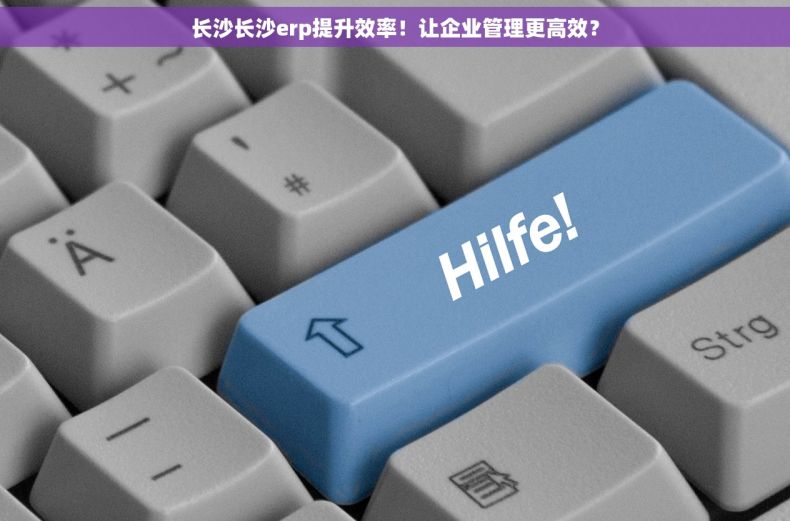 长沙长沙erp提升效率！让企业管理更高效？