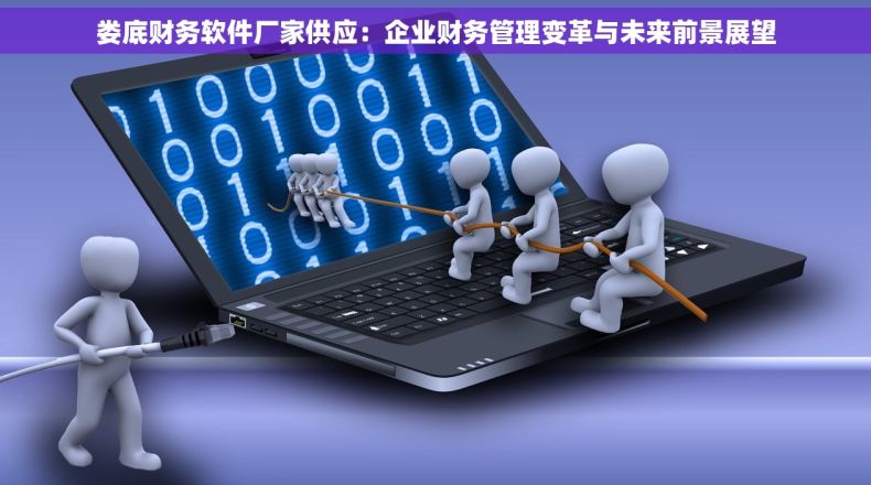 娄底财务软件厂家供应：企业财务管理变革与未来前景展望