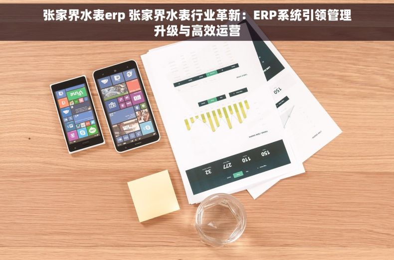 张家界水表erp 张家界水表行业革新：ERP系统引领管理升级与高效运营
